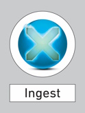 ingest sm