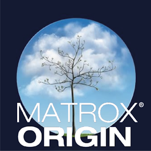matrox origin chip