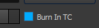 burn-in-time-code
