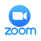 zoom logo