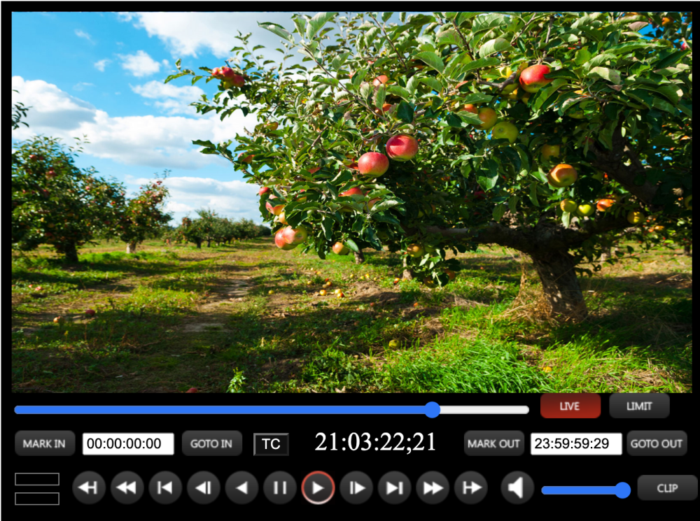 webplayer orchard