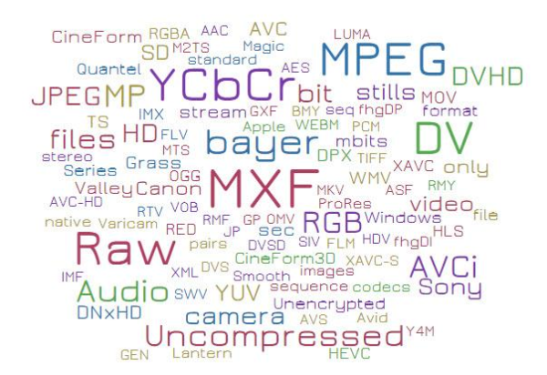 netxconvert files