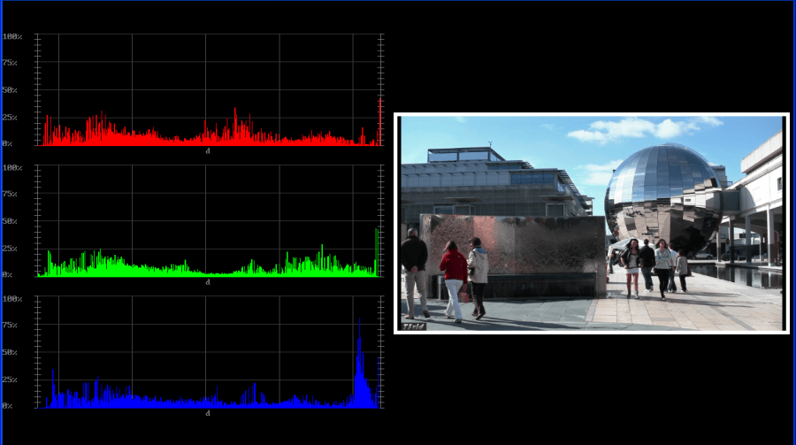 RGB histogram display with mini picture