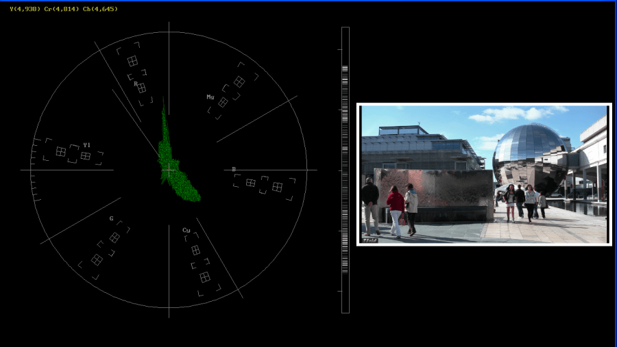 Vectorscope for CbCr monitoring with luma stick and mini picture