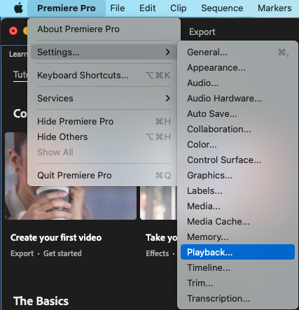 preferences playback