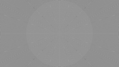 Concentric Circles 1x2pixel