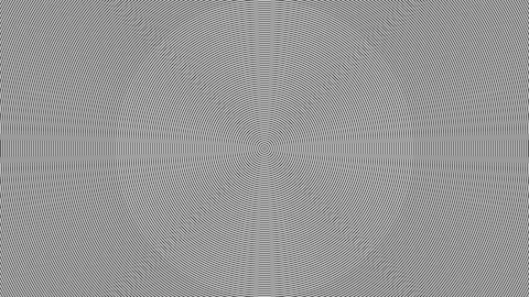 Concentric Circles 2x2pixel