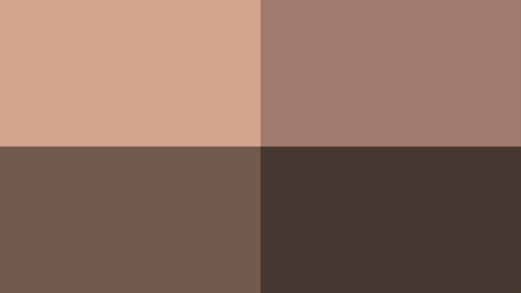 Flesh Color Quadrant
