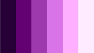 Chroma 5 Step