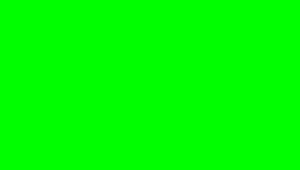 Green 100pc