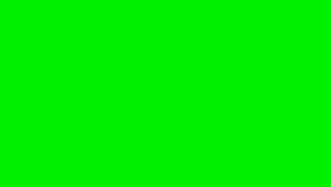 Green 75pc