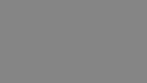 Grey 50pc